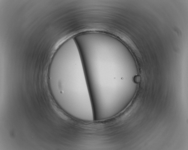X0000115600842200911100950