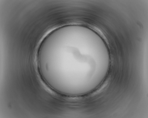 X0000115600843200911100950