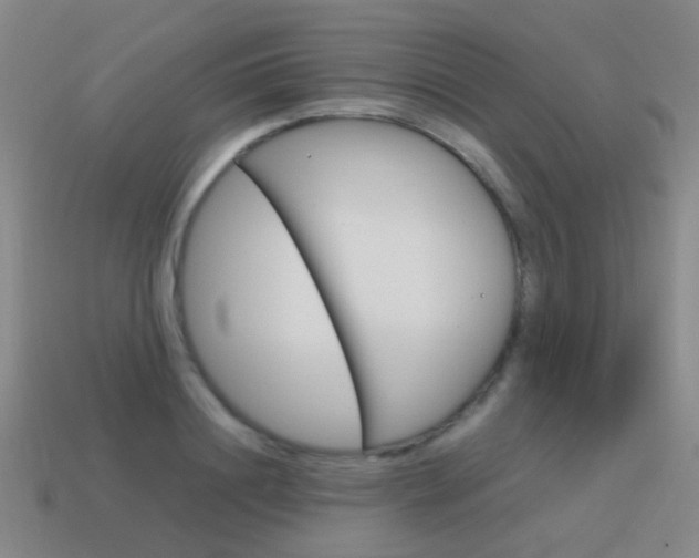X0000115600844200911100950