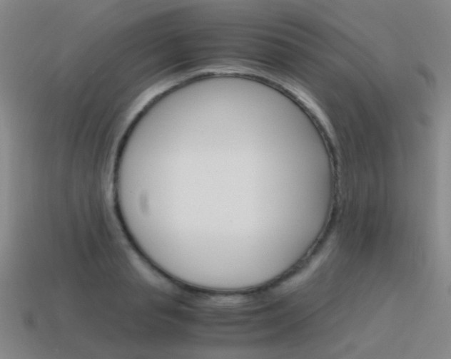 X0000115600845200911100950