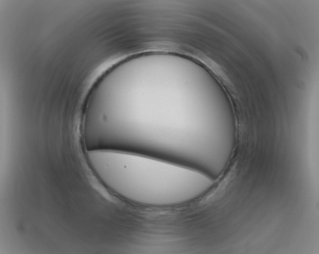 X0000115600846200911100950