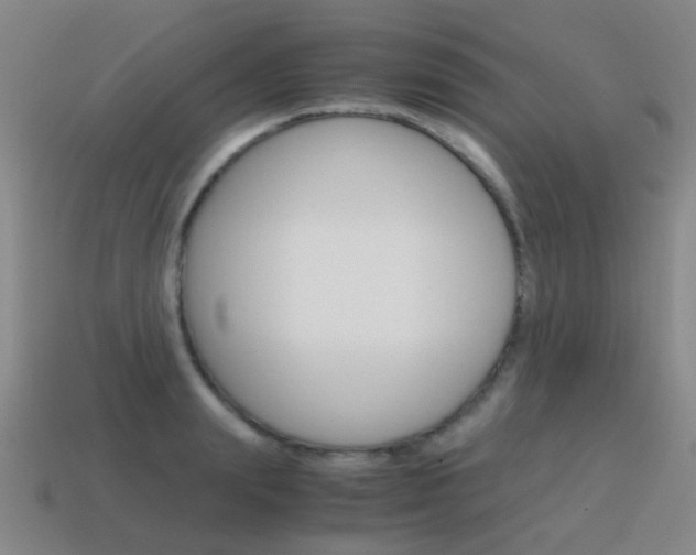 X0000115600847200911100950