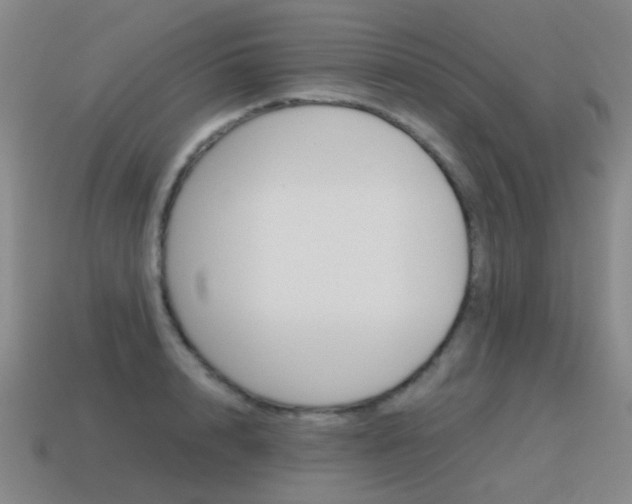 X0000115600848200911100950