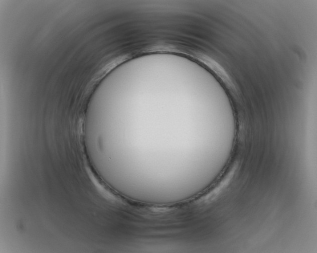 X0000115600849200911100950