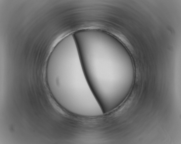 X0000115600850200911100950