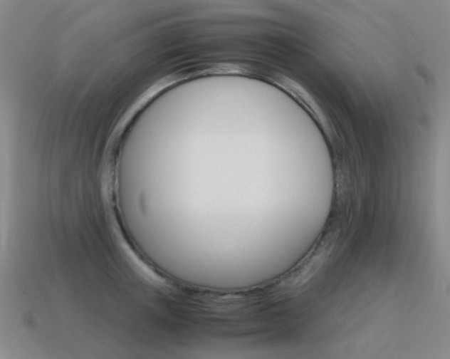 X0000115600851200911100950