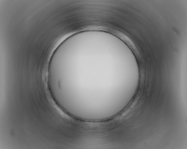 X0000115600852200911100950