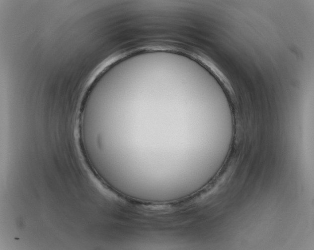X0000115600853200911100950