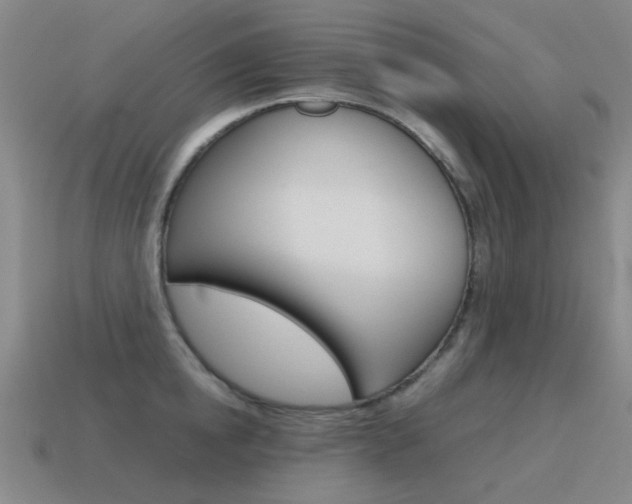 X0000115600854200911100950
