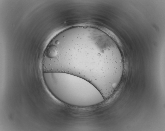 X0000115600855200911100950