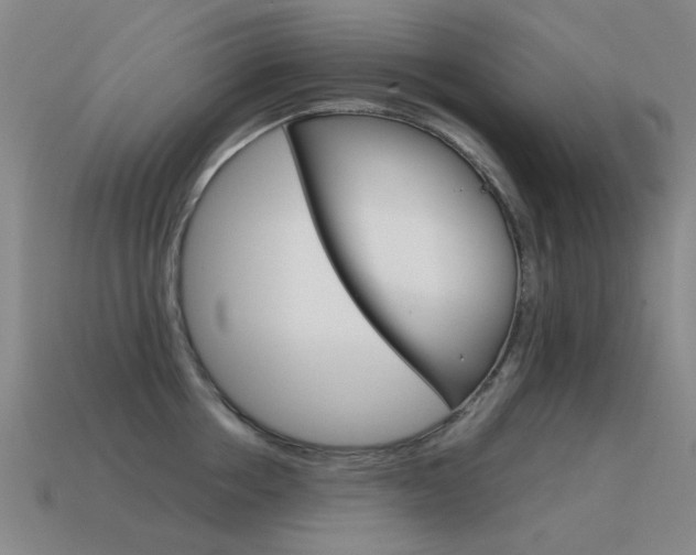 X0000115600858200911100950