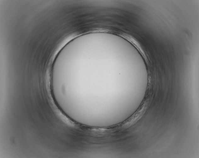 X0000115600859200911100951