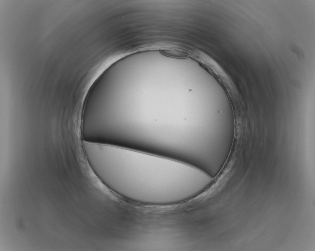 X0000115600860200911100951