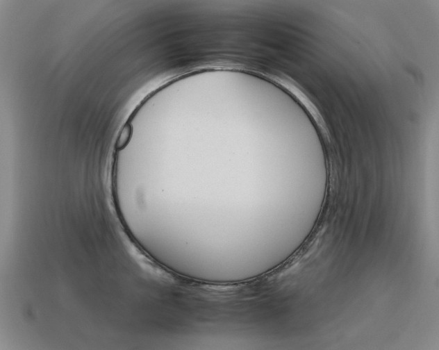 X0000115600861200911100951