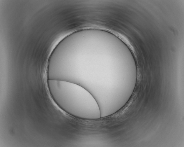 X0000115600863200911100951