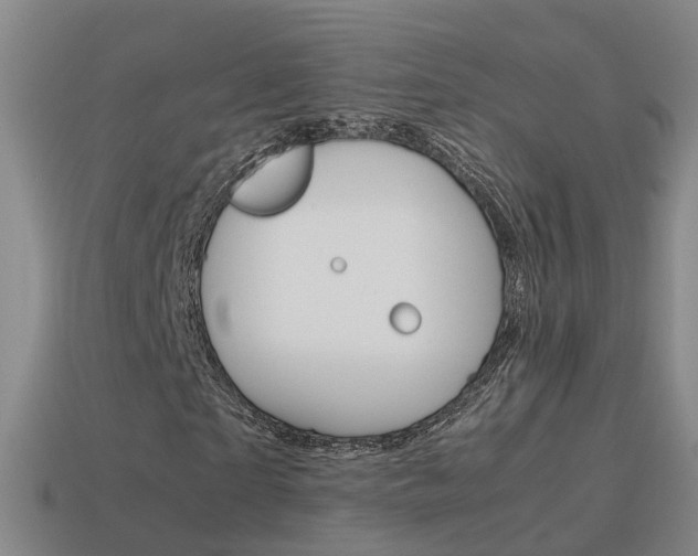 X0000115600865200911100950