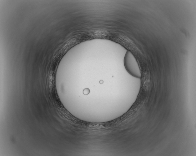 X0000115600866200911100950
