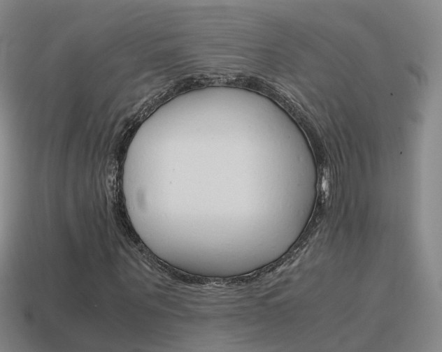 X0000115600867200911100950
