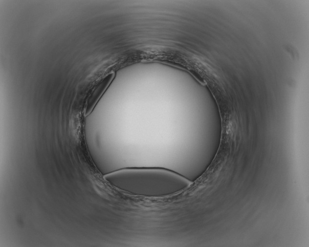 X0000115600868200911100950