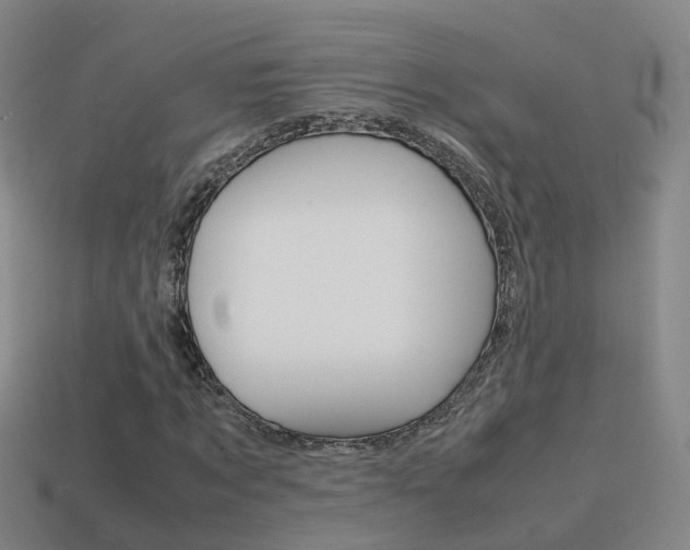 X0000115600869200911100950