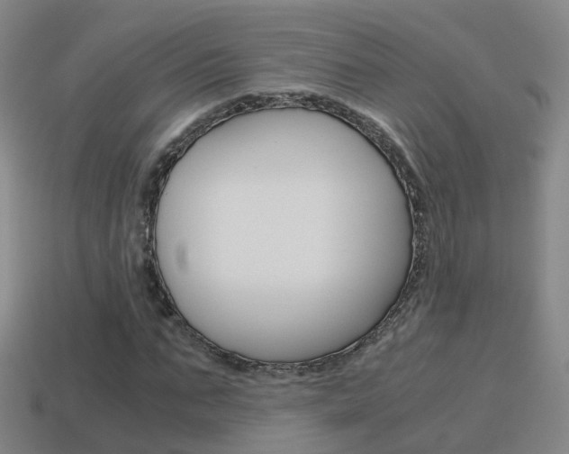 X0000115600871200911100950