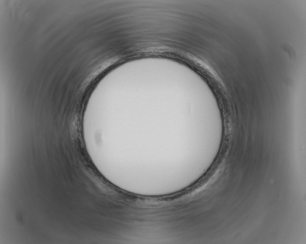 X0000115600873200911100950