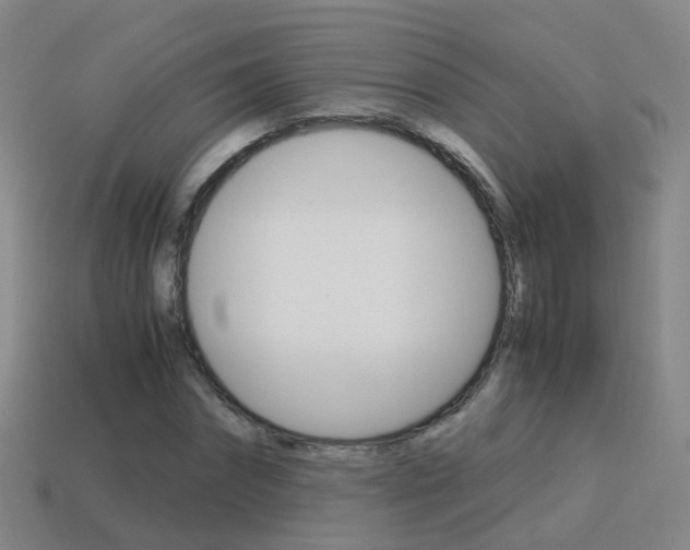X0000115600874200911100950