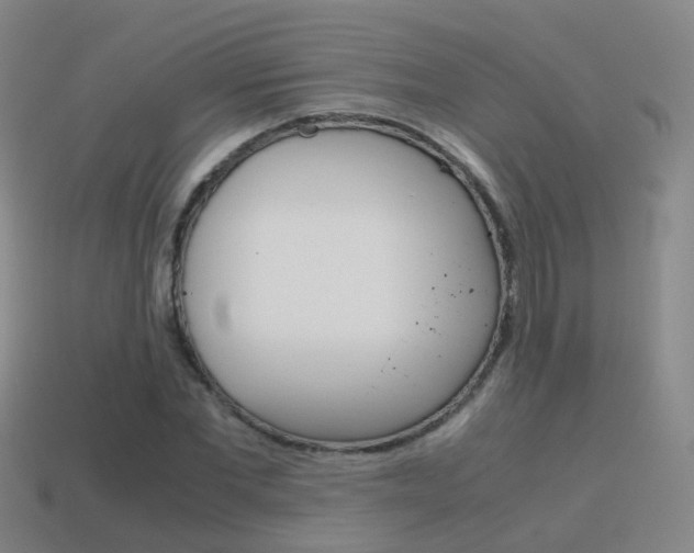 X0000115600877200911100950