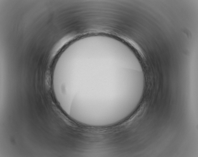 X0000115600878200911100950