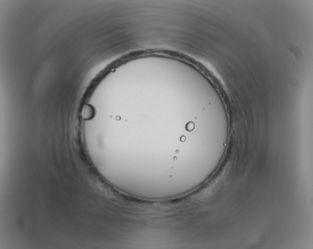 X0000115600879200911100950