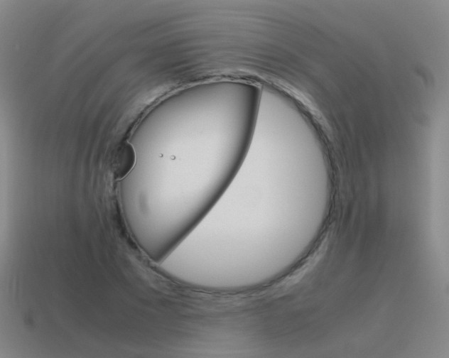 X0000115600881200911100950