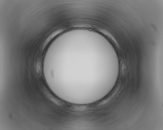 X0000115600882200911100950