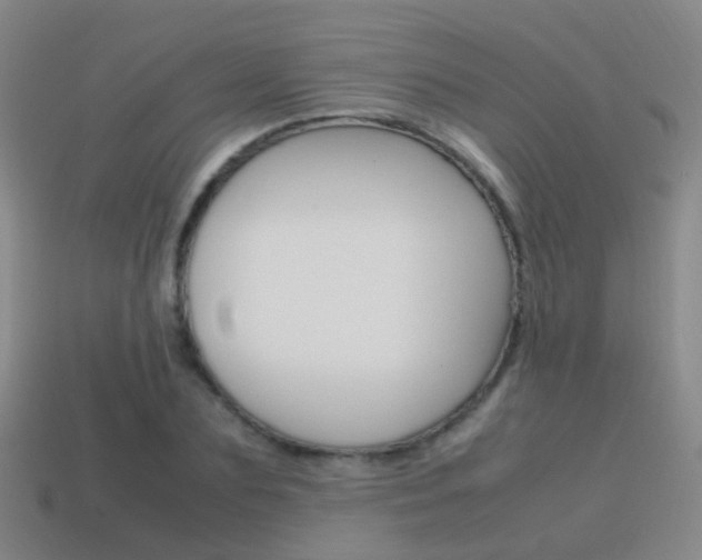 X0000115600883200911100950