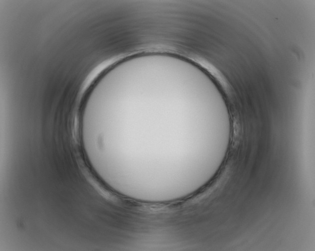 X0000115600886200911100950