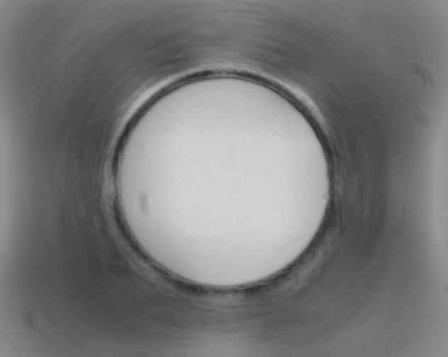 X0000115600887200911100950