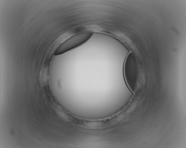 X0000115600889200911100950