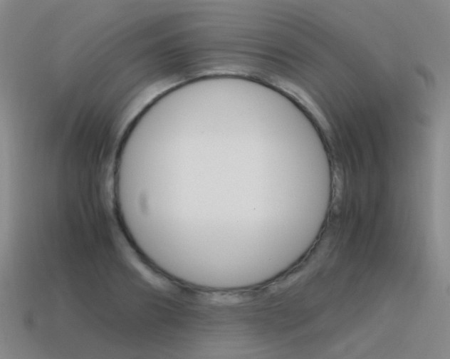X0000115600890200911100950