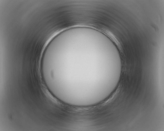 X0000115600892200911100950