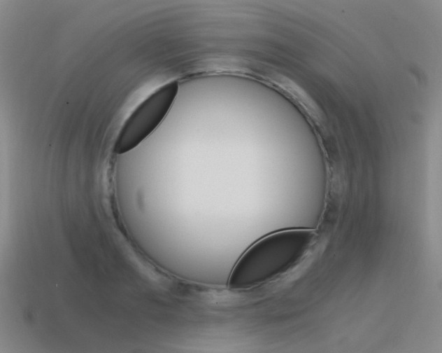 X0000115600893200911100950