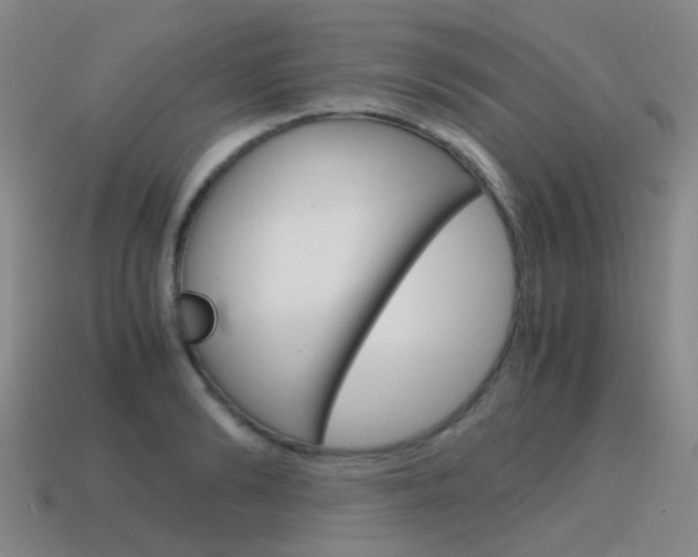 X0000115600894200911100950