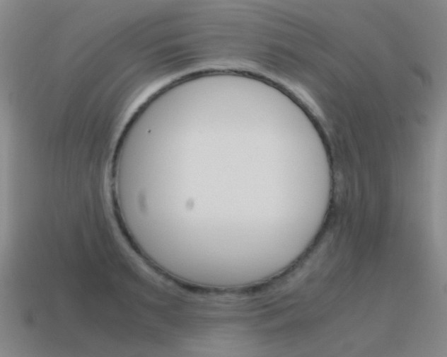 X0000115600895200911100950