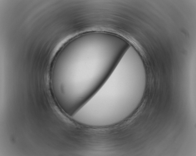 X0000115600896200911100950