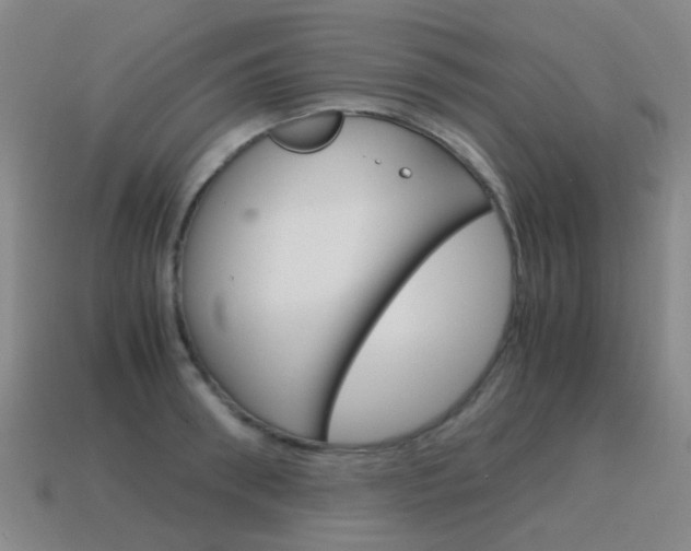 X0000115600898200911100950