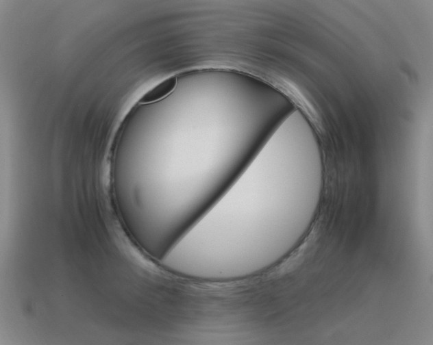 X0000115600900200911100950