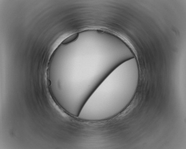 X0000115600906200911100949