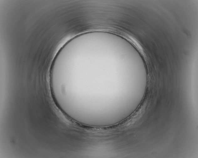 X0000115600907200911100949