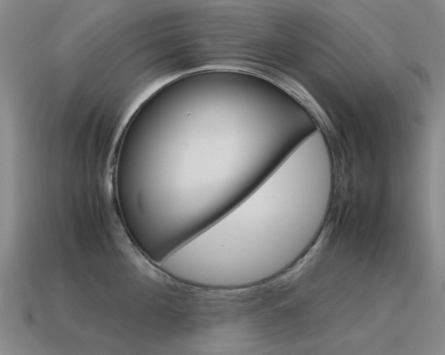 X0000115600908200911100949