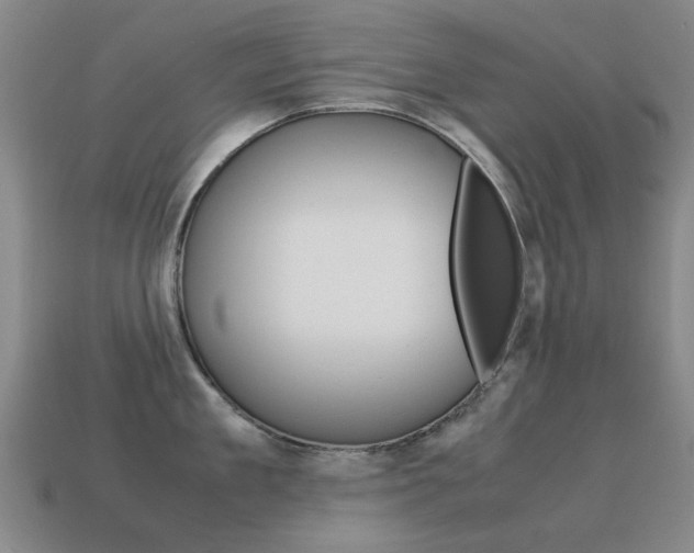 X0000115600909200911100949