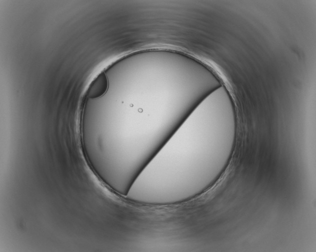 X0000115600910200911100949