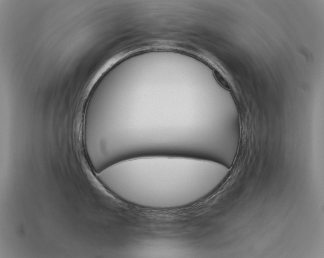 X0000115600911200911100949